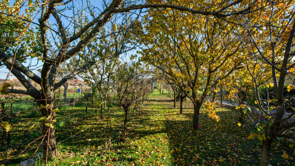 Na predaj dva ihneď obývateľné rodinné domy za cenu jedného v malebnej obci Výčapy-Opatovce