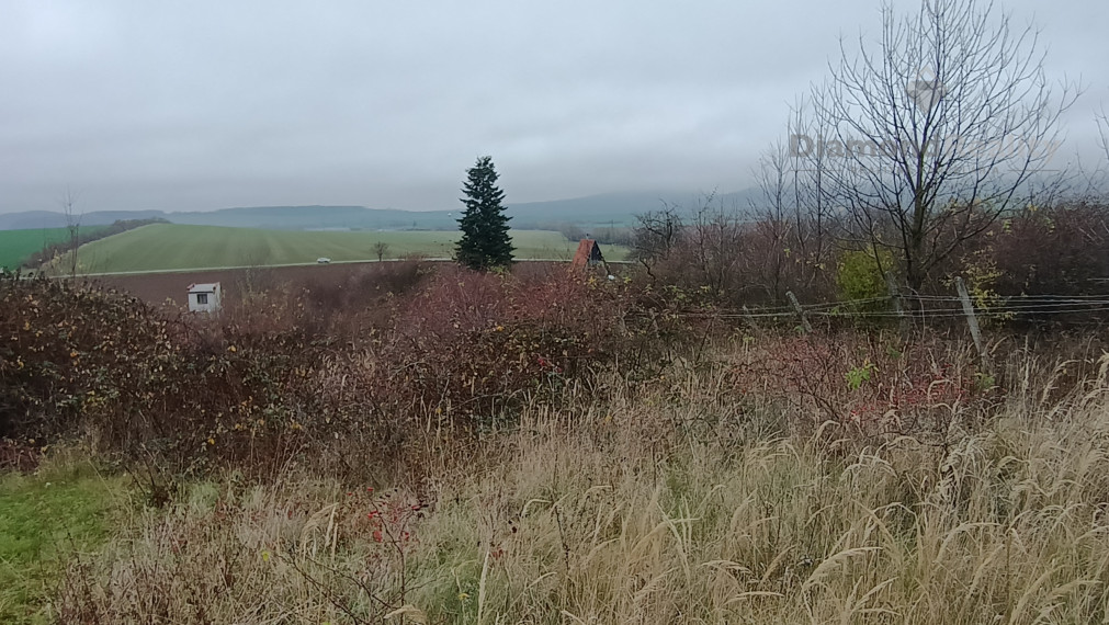 Na predaj pozemok na výstavbu aj dvoch viničných chatiek v obci Kozárovce