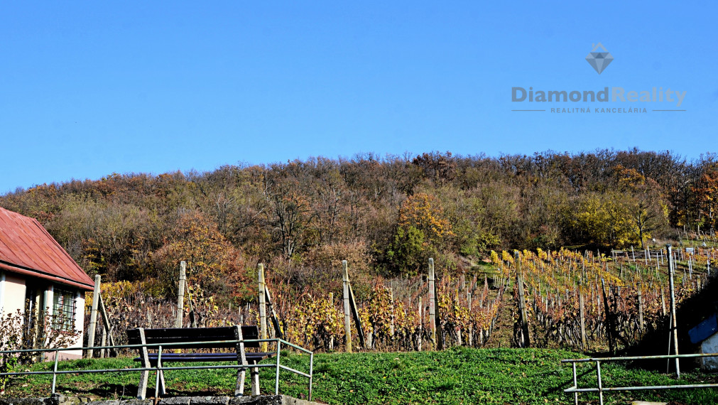 Záhradný domček s vinohradom