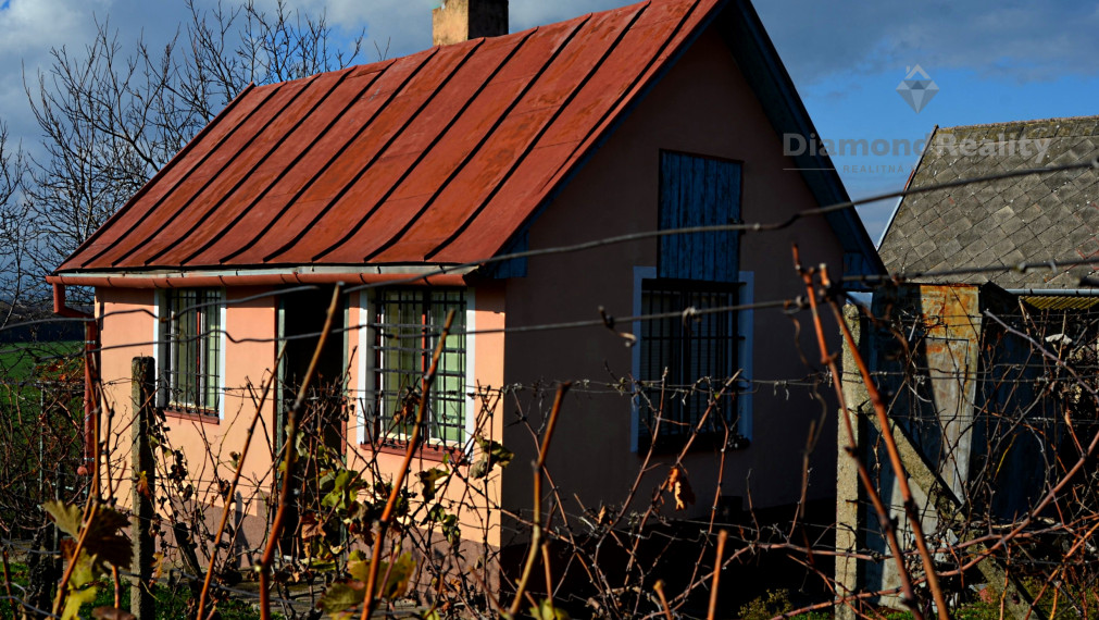 Záhradný domček s vinohradom
