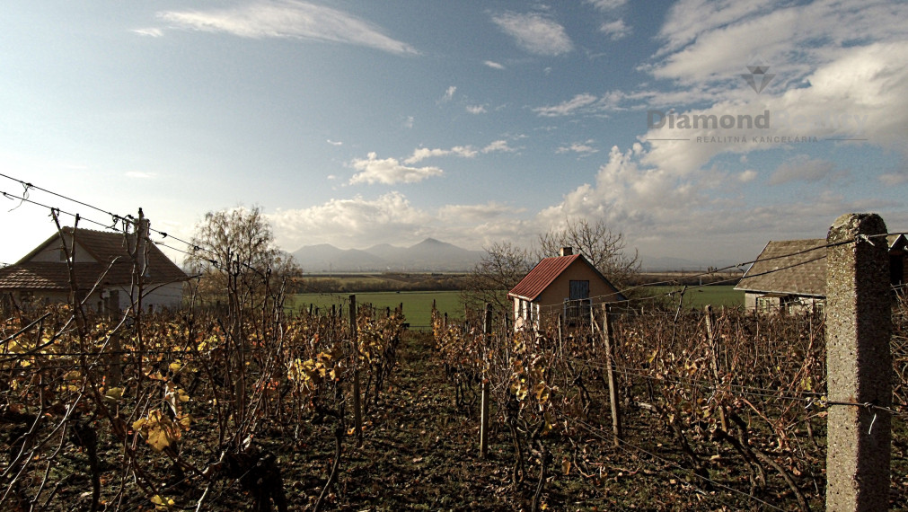 Záhradný domček s vinohradom