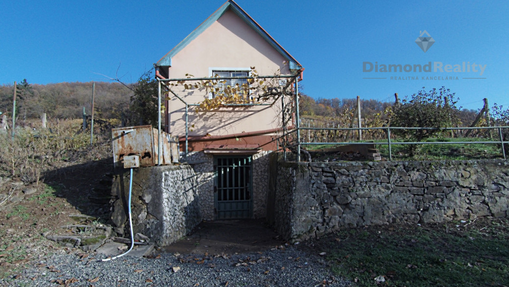 Záhradný domček s vinohradom