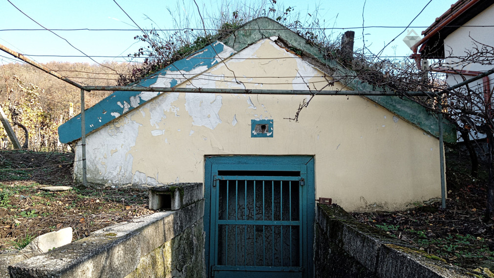 Záhradný domček s vinohradom