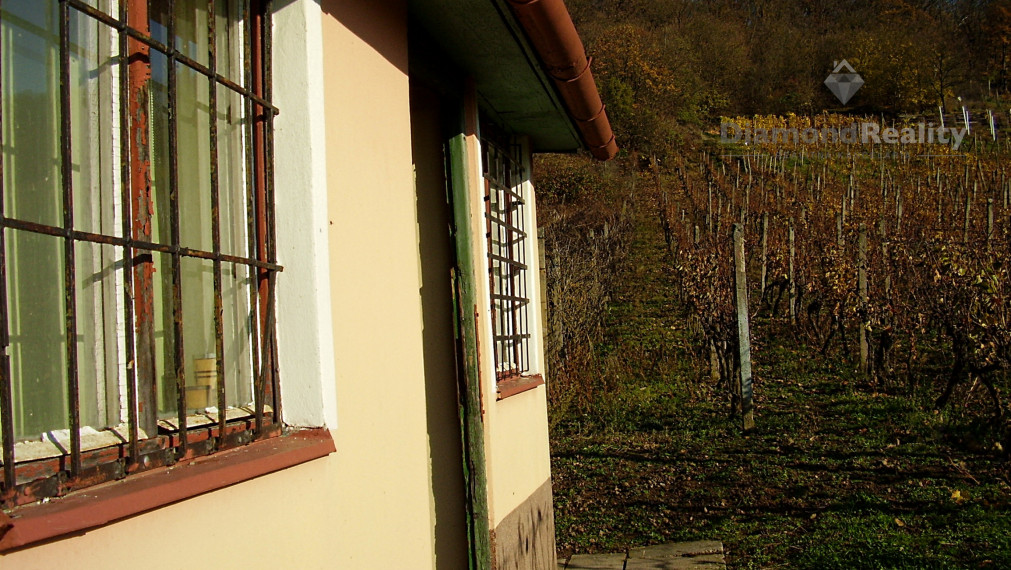 Záhradný domček s vinohradom