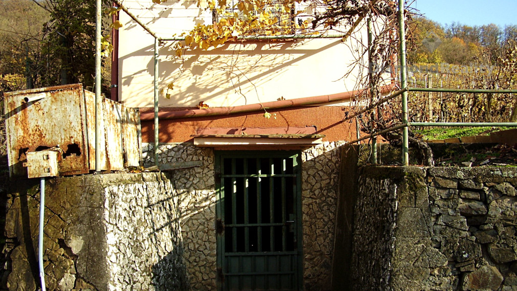 Záhradný domček s vinohradom