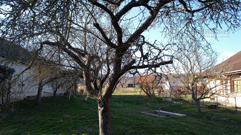 Slnečný a rovinatý pozemok v pokojnej obci Kašov