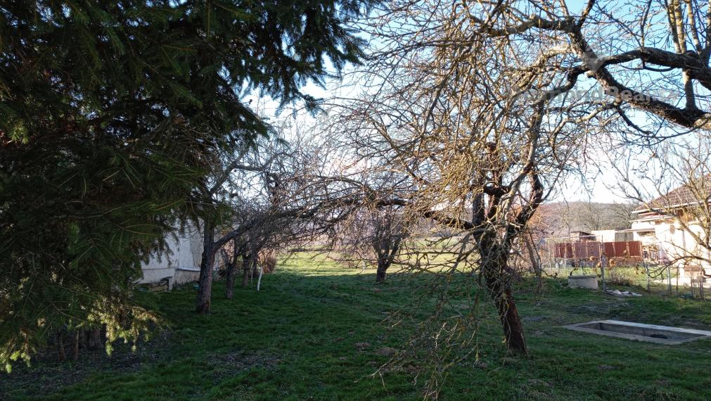 Slnečný a rovinatý pozemok v pokojnej obci Kašov