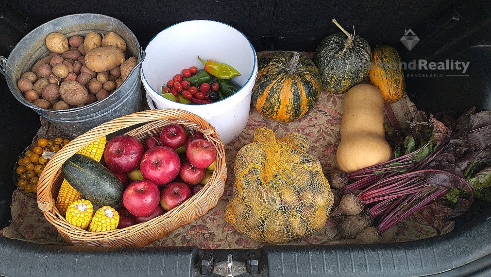 Na predaj rovinatý pozemok 40 árov, pri Trnave, Buková.