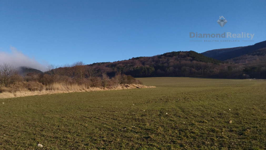 Na predaj rovinatý pozemok 40 árov, pri Trnave, Buková.