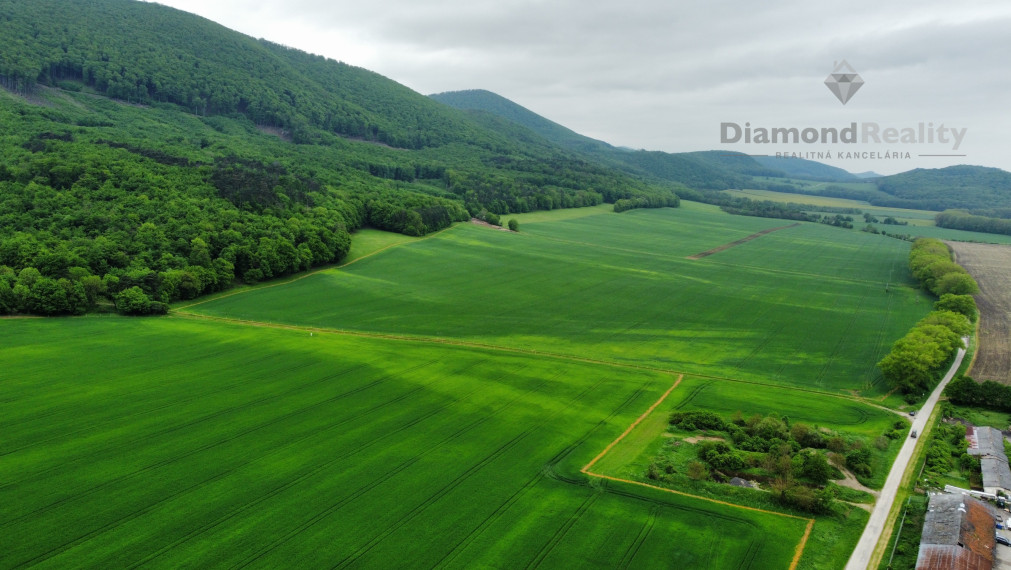 Na predaj rovinatý pozemok 40 árov, pri Trnave, Buková.