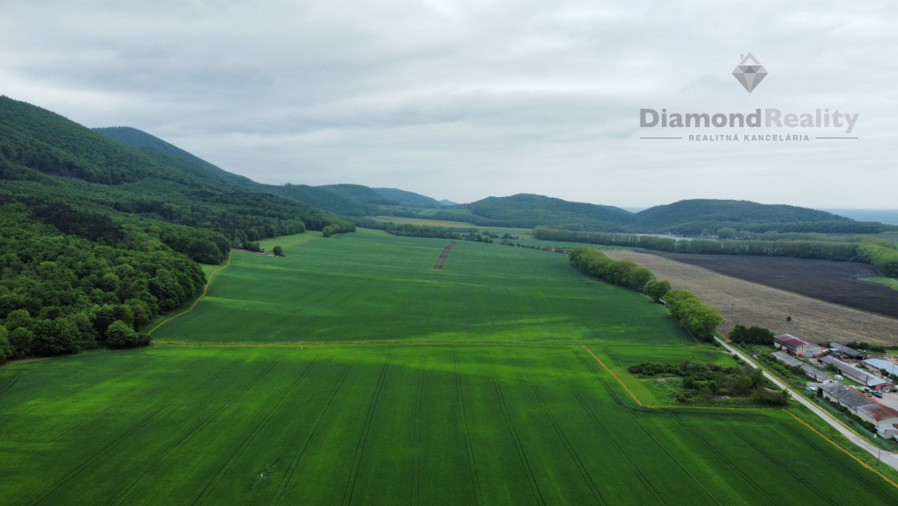 Na predaj rovinatý pozemok 40 árov, pri Trnave, Buková.
