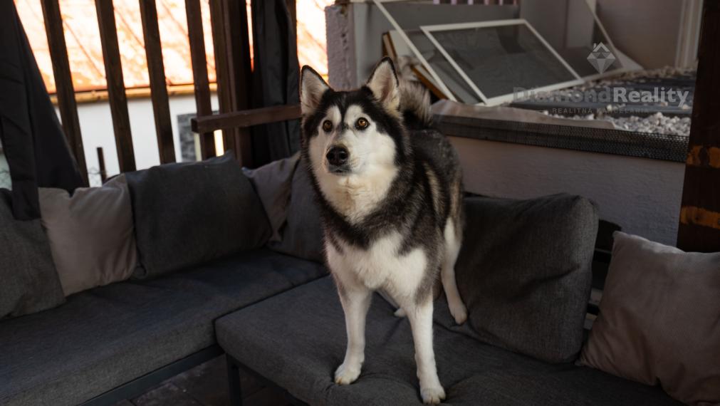 NA PREDAJ KRÁSNY 4 IZBOVÝ RODINNÝ DOM PRIPRAVENÝ NA NASŤAHOVANIE | OBEC GYŇOV