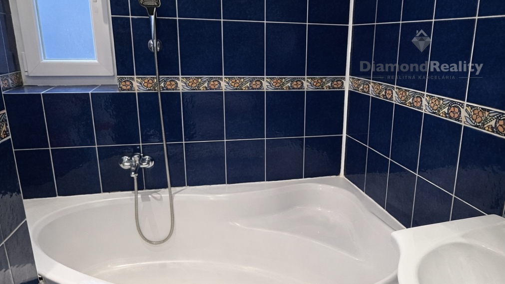 3 izbový byt, Zemplínska Teplica, Hlavná ulica + garáž