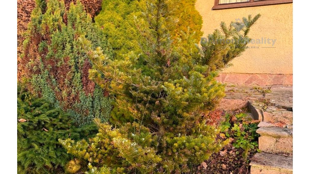 Na predaj  záhradný pozemok s chatkou, Zelený Dvor, Košice