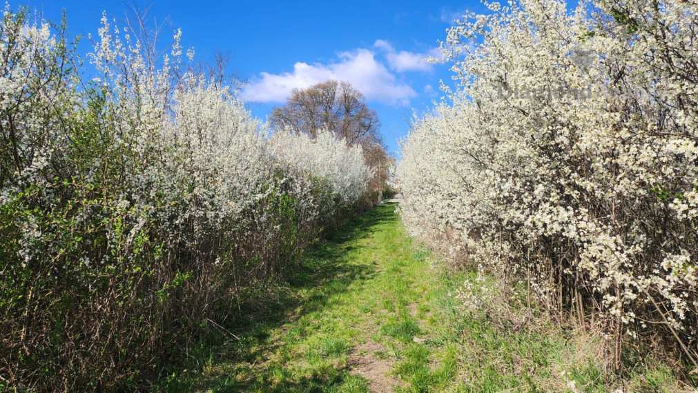 Celoročná chalupa - menší domček - Abaújkér, Maďarsko