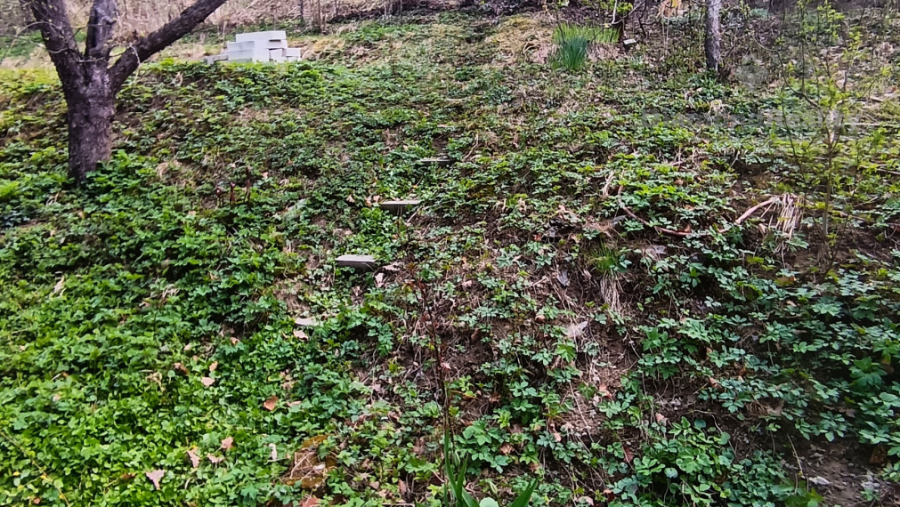 Na predaj pekná záhrada s chatkou, Nižný Klátov, Košice  - okolie