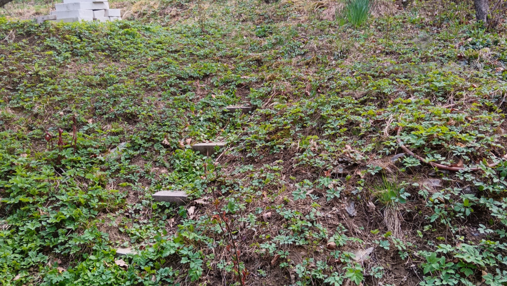 Na predaj pekná záhrada s chatkou, Nižný Klátov, Košice  - okolie