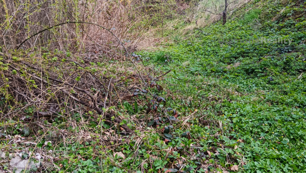 Na predaj pekná záhrada s chatkou, Nižný Klátov, Košice  - okolie