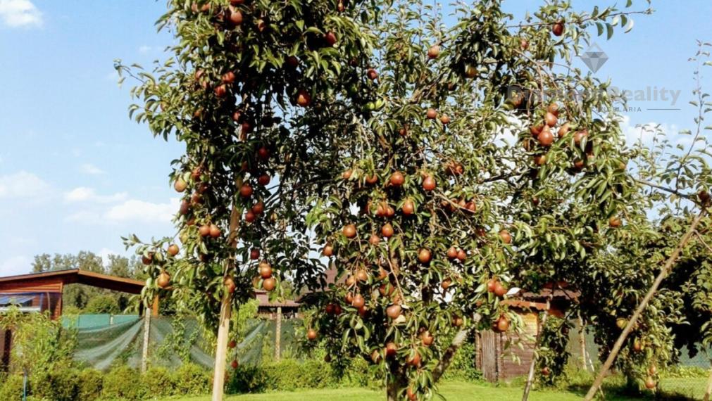 Na predaj rovinatý pozemok, obec Janík, Košice - okolie