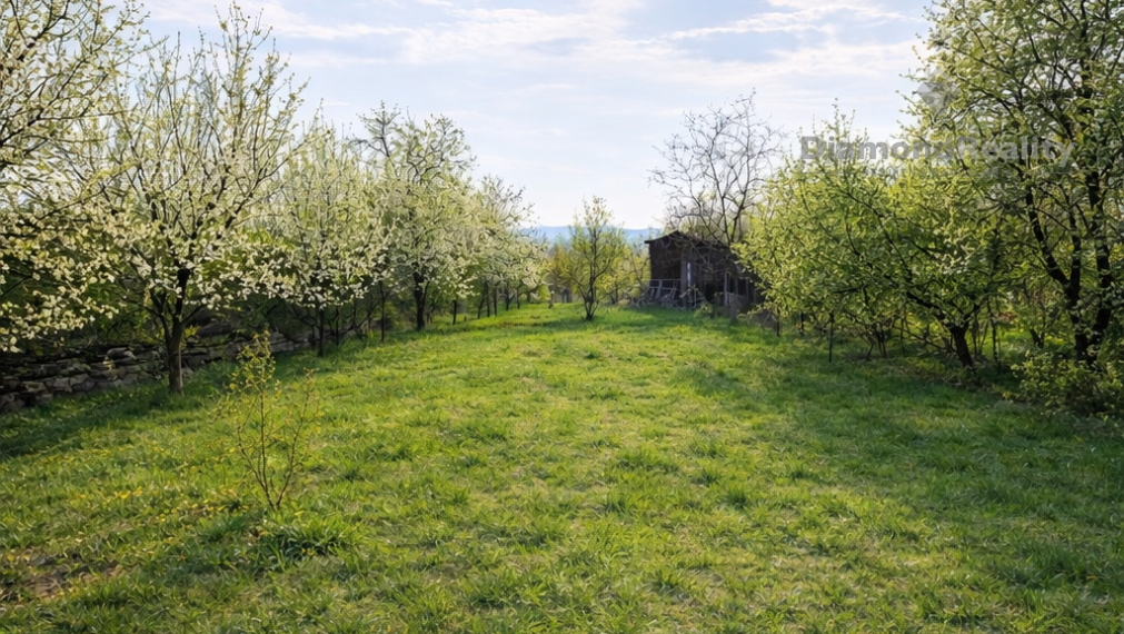 Priestranný rodinný dom Zemplínska Teplica.