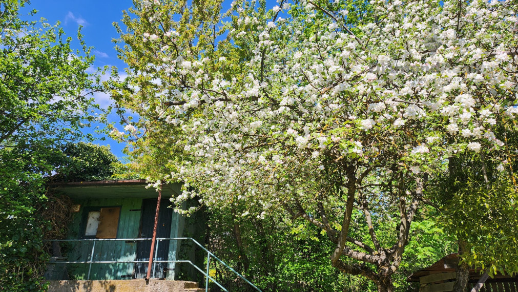 Oáza oddychu uprostred mesta – chata Alejová