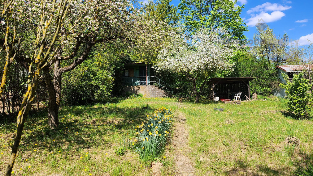 Oáza oddychu uprostred mesta – chata Alejová