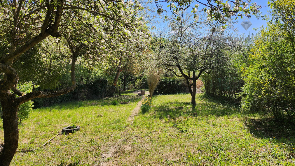 Oáza oddychu uprostred mesta – chata Alejová