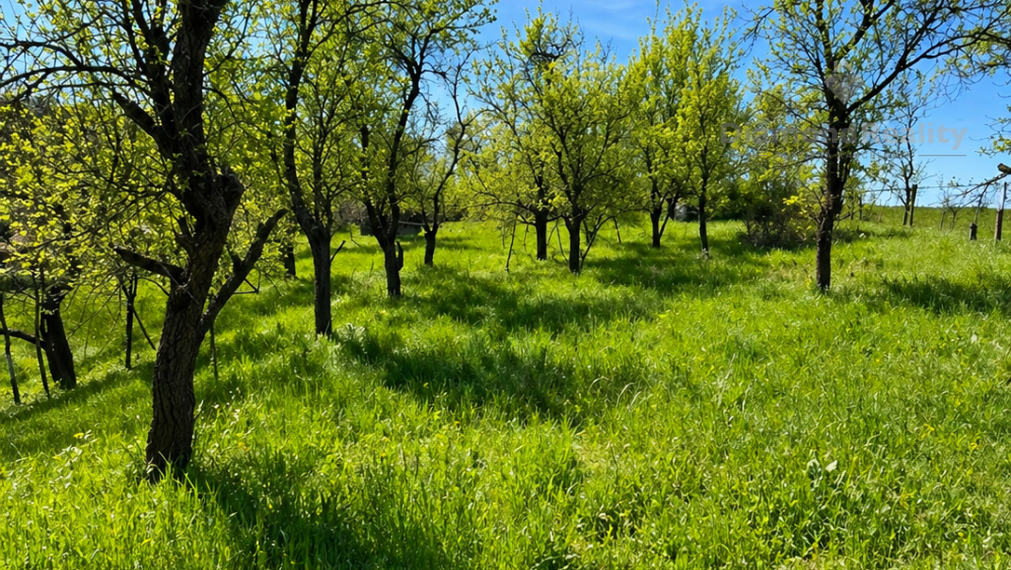 Pozemok na predaj v Maďarsku v obci Felsőtelekes s rozlohou pozemku 6800m2.