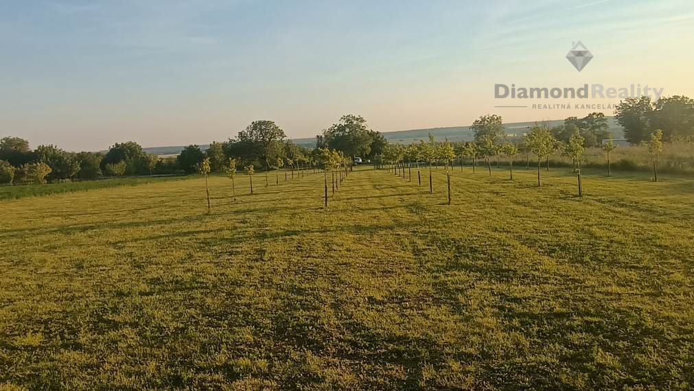EXKLUZÍVNE na predaj luxusný pozemok 1901 m2 30 m široký v Čechynciach na rekreačné účely alebo trvalé bývanie