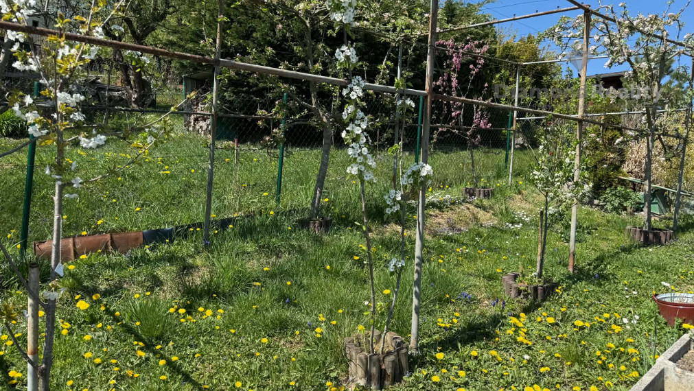 Na predaj chata s krásnou záhradou, Košické Olšany, Vyšný Olčvár