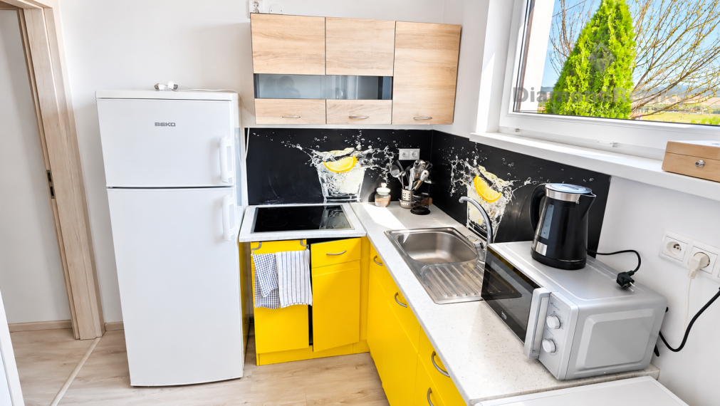 Rodinný dom s vlastným podnikaním a 5 Apartmánmi v obci Budimír