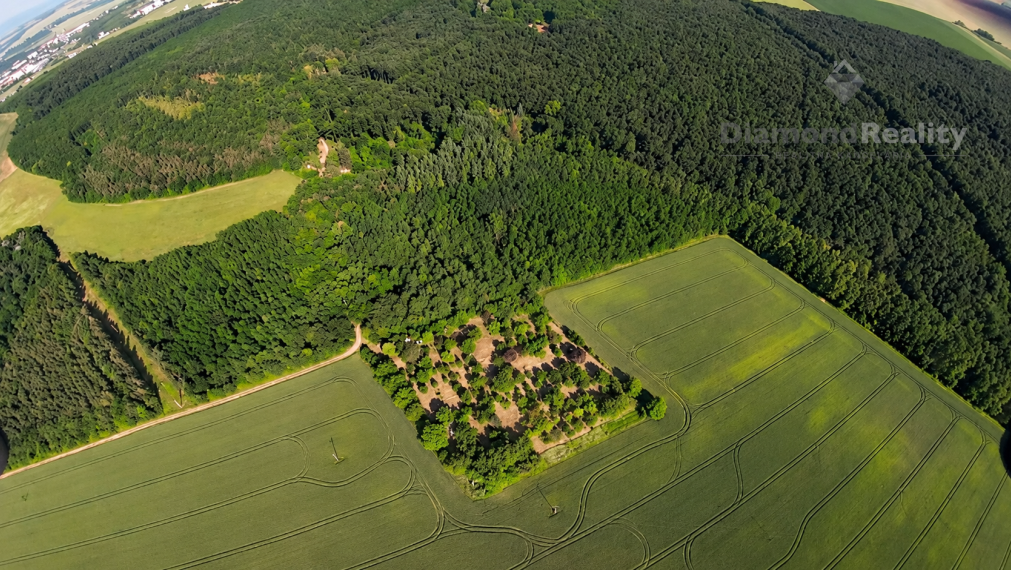 NA PREDAJ NITRA – PÁROVSKÉ HÁJE | 1 HA OVOCNÝ SAD S CHATKOU, STUDŇOU A ELEKTRINOU