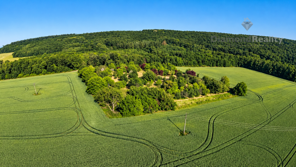 NA PREDAJ NITRA – PÁROVSKÉ HÁJE | 1 HA OVOCNÝ SAD S CHATKOU, STUDŇOU A ELEKTRINOU
