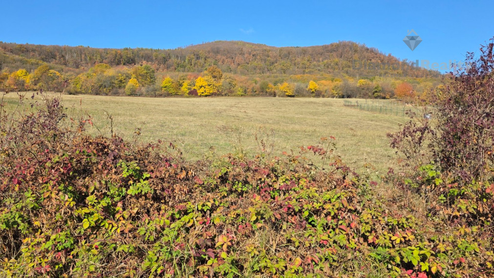 Na predaj veľký pozemok Slanec, 4330 m2
