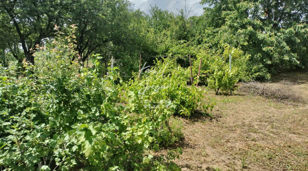 Predaj krásnej rovinatej záhrady s ovocnými stromami.