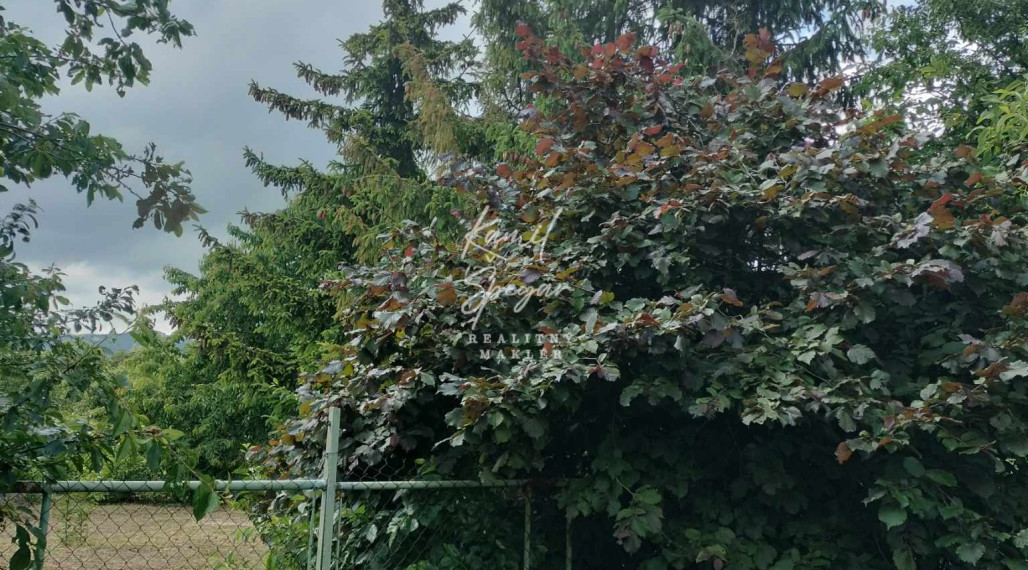 Predaj krásnej rovinatej záhrady s ovocnými stromami.