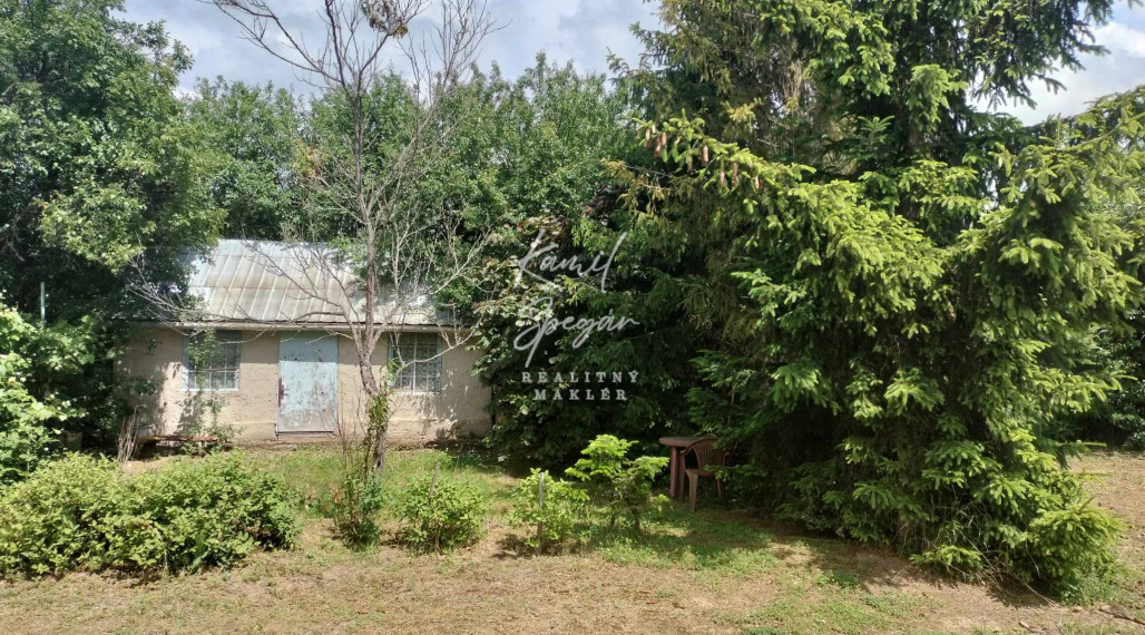 Predaj krásnej rovinatej záhrady s ovocnými stromami.