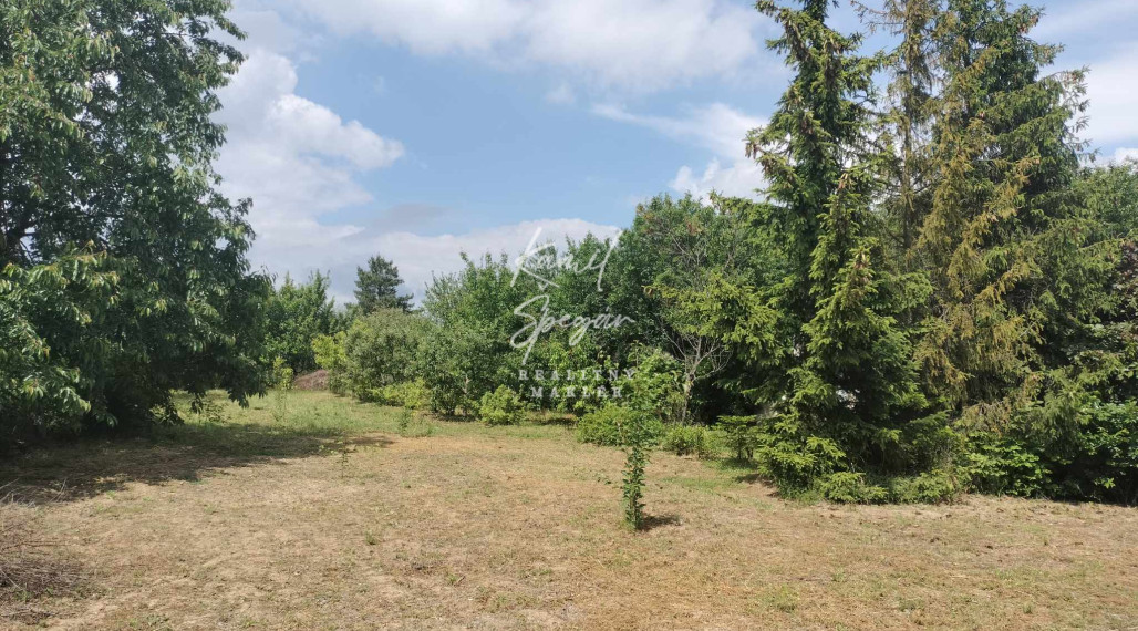 Predaj krásnej rovinatej záhrady s ovocnými stromami.