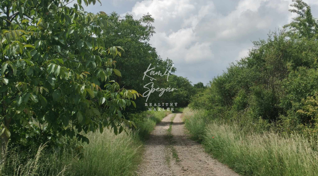 Predaj krásnej rovinatej záhrady s ovocnými stromami.