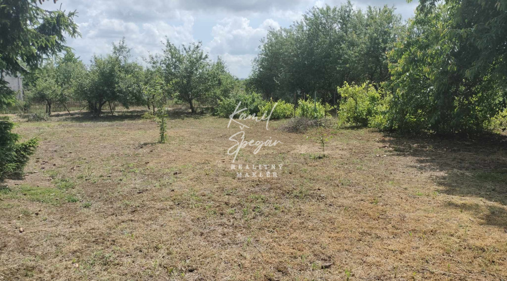 Predaj krásnej rovinatej záhrady s ovocnými stromami.