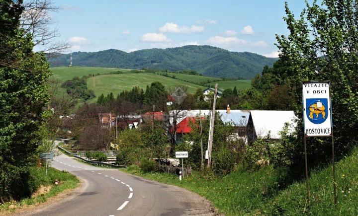 LESNÝ POZEMOK V HOSTOVICIACH