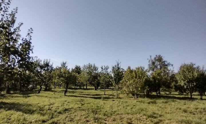 Na predaj rodinný dom, pozemok 26 árov, Kechnec, Košice - okolie