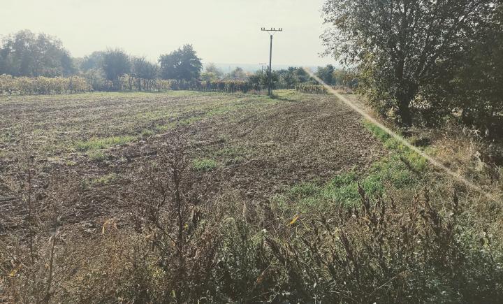 Na predaj pozemok na chatku Veľký Cetín
