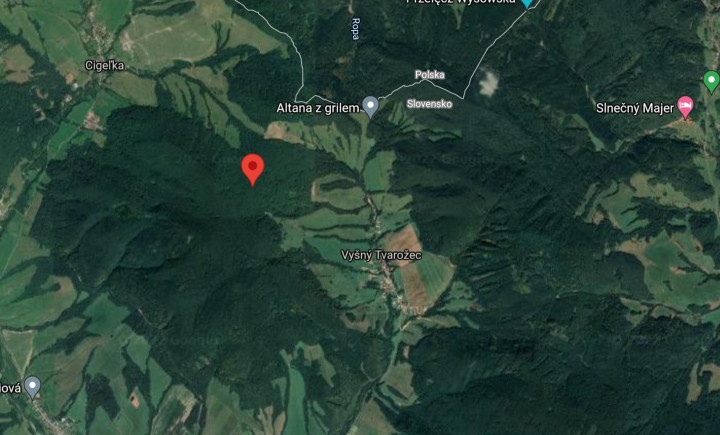 Na predaj ponúkame lesný pozemok v kat. území - Vyšný Tvarožec, okres Bardejov