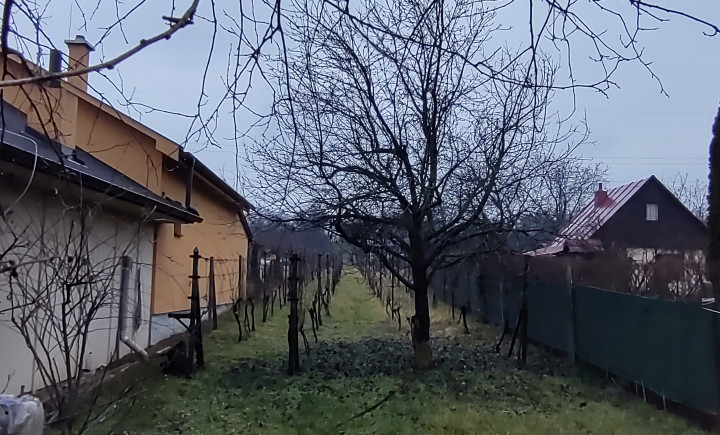 Na predaj pozemok na výstavbu viničného domu alebo na bývanie