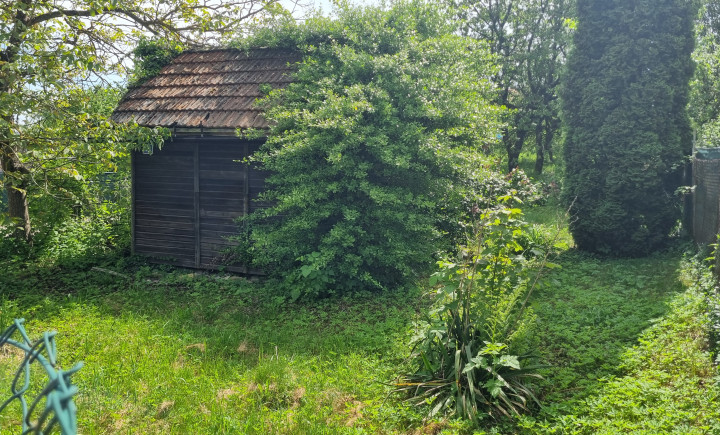 PREDANÉ - Na predaj záhrada