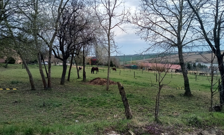 top cena!Na predaj stavebný pozemok v malebnej obci Hosťová