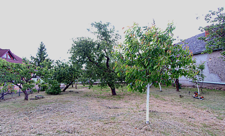 Slnečný a veľký pozemok v pokojnej obci Kašov