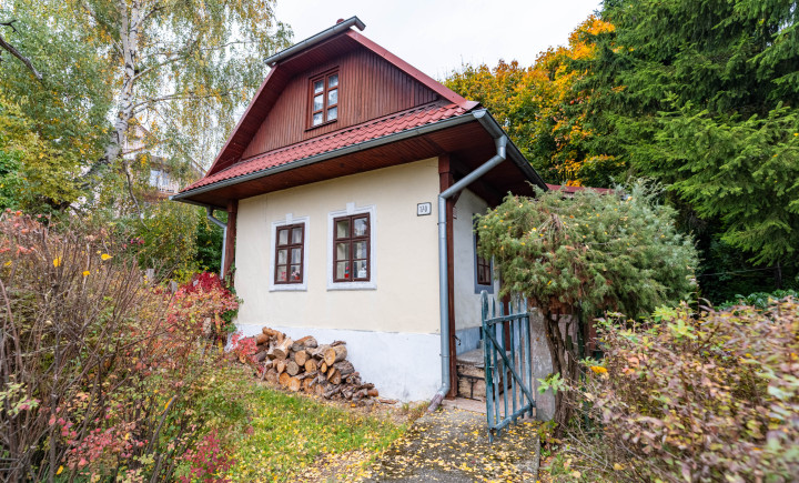 NA PREDAJ 200 ROČNÝ RODINNÝ DOM V MESTE VRANOV NAD TOPĽOU