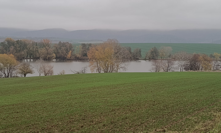 REZERVOVANÉ!Na predaj pozemok na výstavbu aj dvoch viničných chatiek v obci Kozárovce